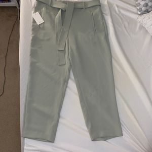 Aritzia Pants